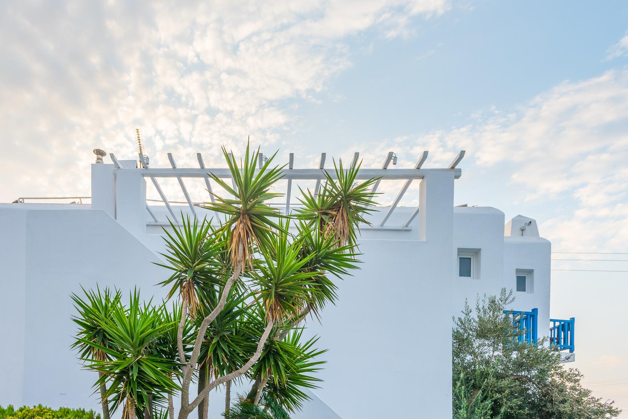 Vienoula'S Garden Hotel Mykonos Town Екстериор снимка